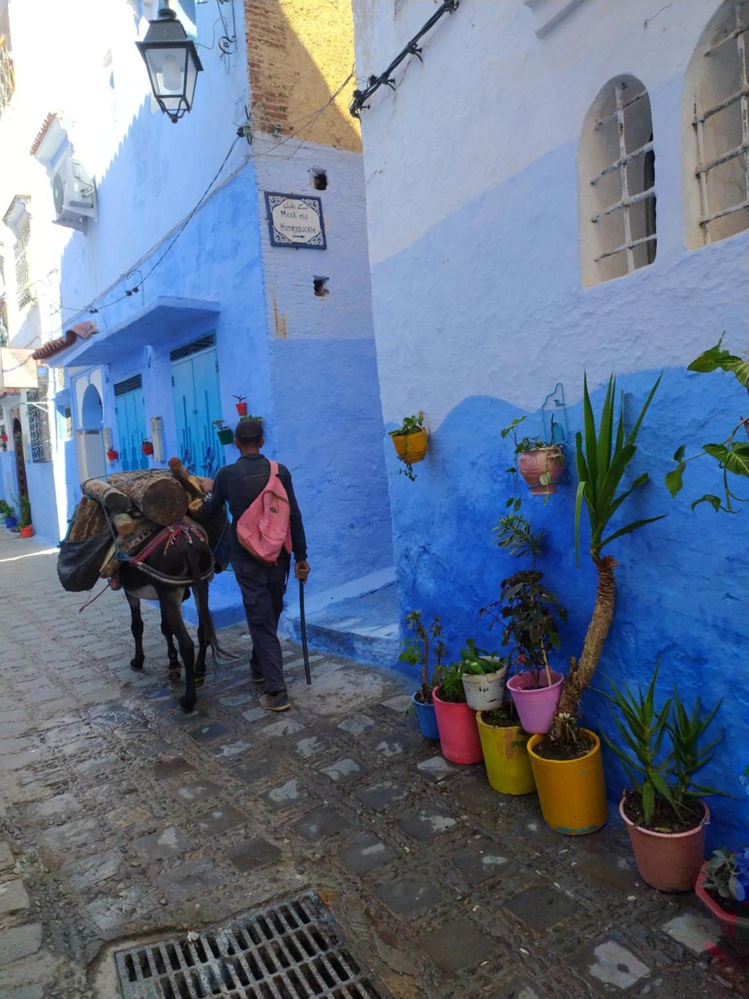 Hotel Honey Suckle Chefchaouen Esterno foto